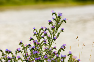 Similar image 21947159