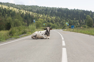 Similar image 21947161