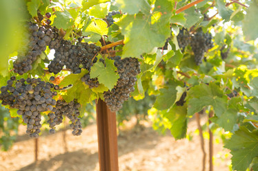 Similar image 21947405