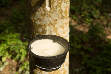 Similar image 21947409