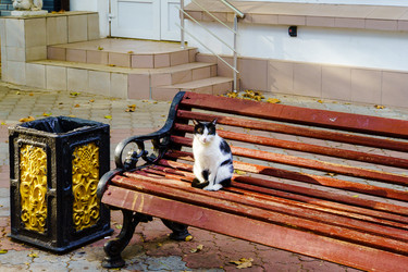 Similar image 21917056