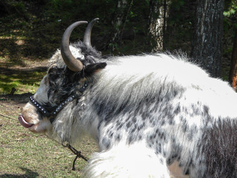 Similar image 21947168