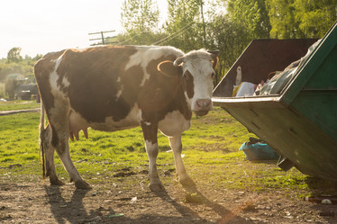 Similar image 21947412