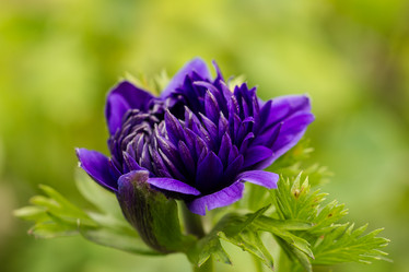 Similar image 21947415