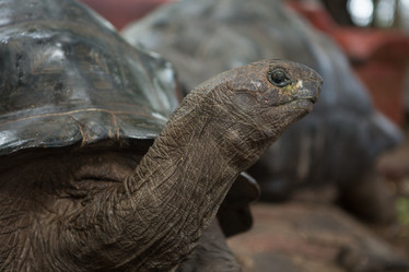 Similar image 21947421