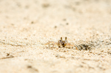 Similar image 21947422