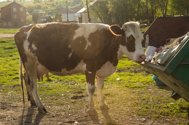 Similar image 21947177