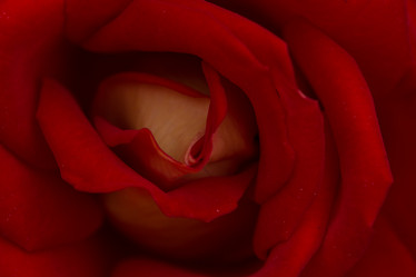 Similar image 21947180