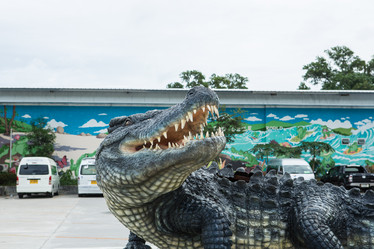 Similar image 21947184