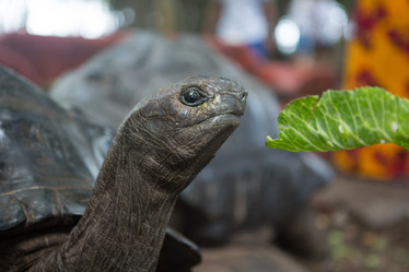 Similar image 21947185