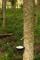 Similar image 21947425