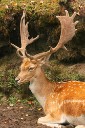 Similar image 21935770