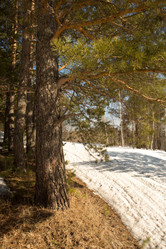 Similar image 21949897