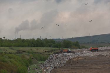 Similar image 21949904