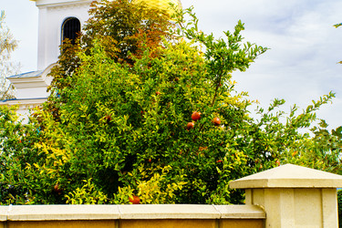 Similar image 21933315