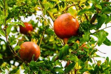 Similar image 21934805