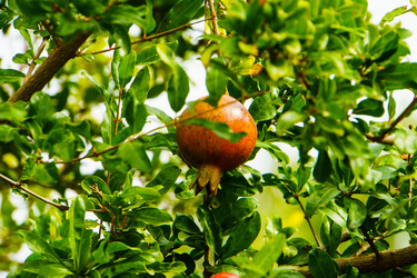 Similar image 21934806