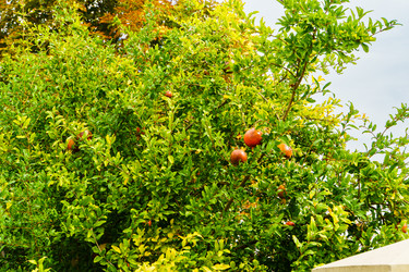 Similar image 21934807