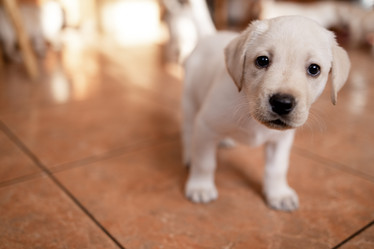 Similar image 21934408