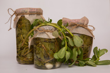 Similar image 21947186