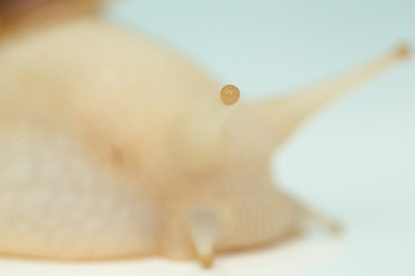 Similar image 21947191