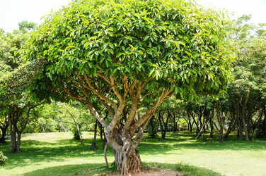 Similar image 21947426