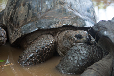 Similar image 21947428