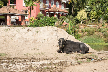 Similar image 21947429