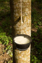 Similar image 21947430