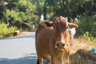 Similar image 21947434