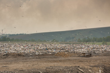 Similar image 21947195