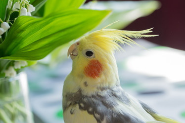 Similar image 21947204