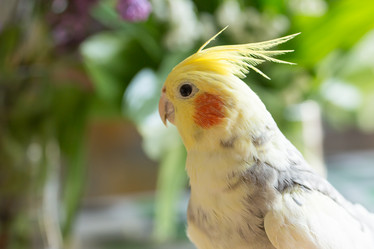 Similar image 21947205