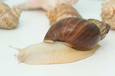 Similar image 21947438