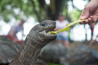 Similar image 21947441