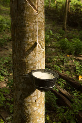 Similar image 21947443