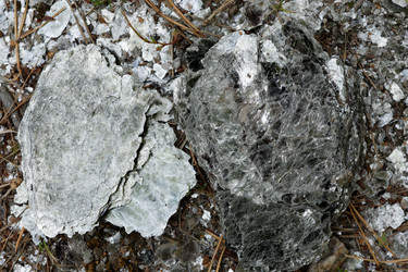 Similar image 21911483