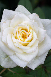 Similar image 21915446