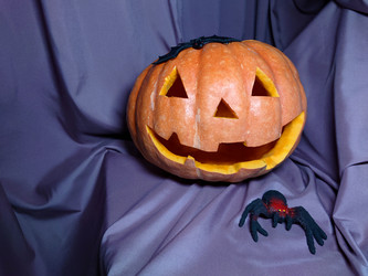 Similar image 21913482