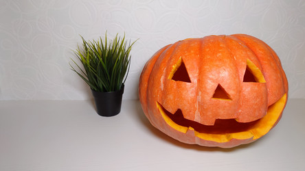 Similar image 21913483