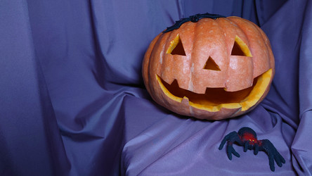 Similar image 21913485