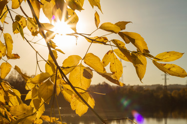 Similar image 21947444