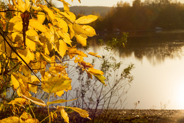 Similar image 21947637