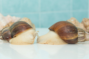 Similar image 21947638