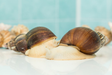 Similar image 21947640