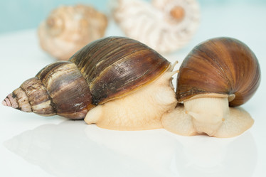 Similar image 21947641