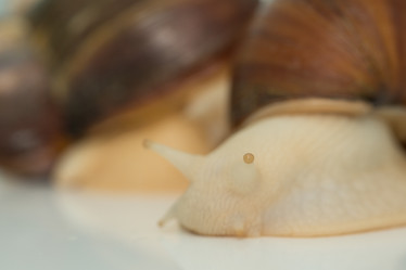 Similar image 21947642