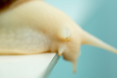 Similar image 21947644