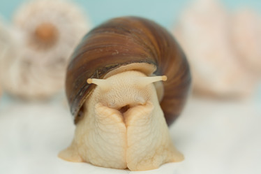 Similar image 21947645