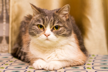 Similar image 21949907